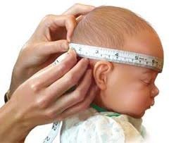 Perímetro Cefálico